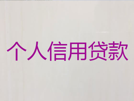 自贡抵押贷款-银行信用贷款